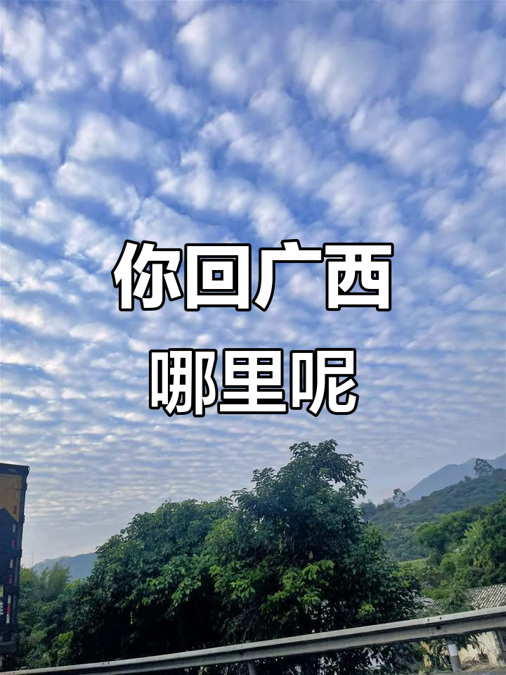 一个月后,你会回到广西的哪个城市?