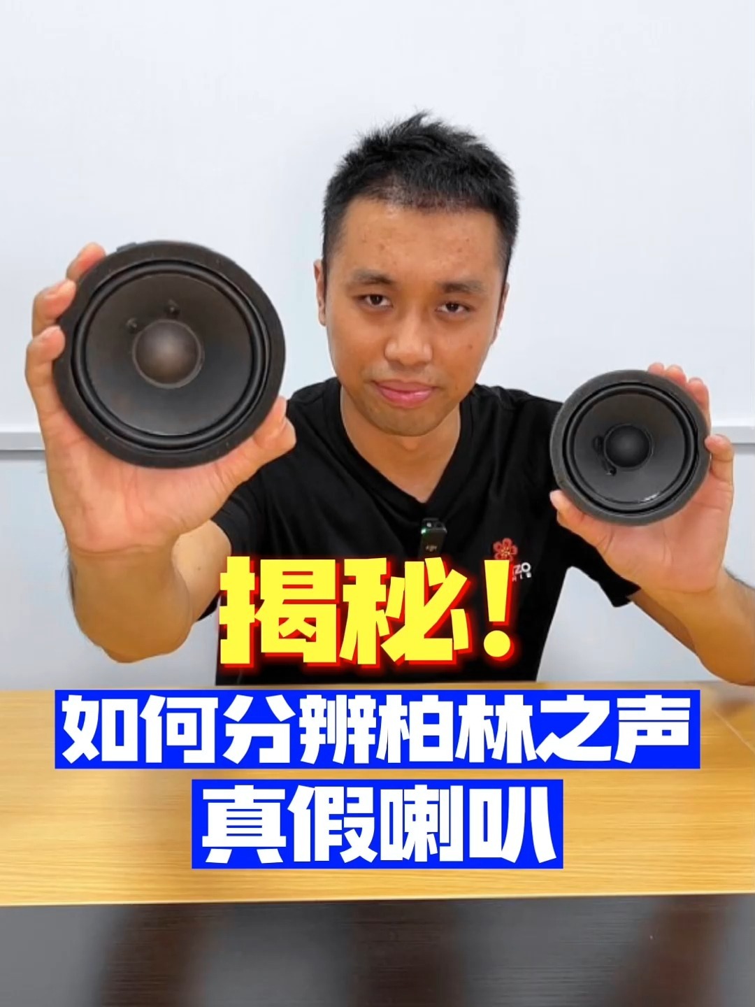 揭秘!如何分辨柏林之声真假喇叭