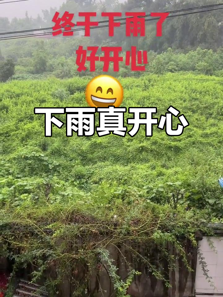 终于下雨了,心情大好!