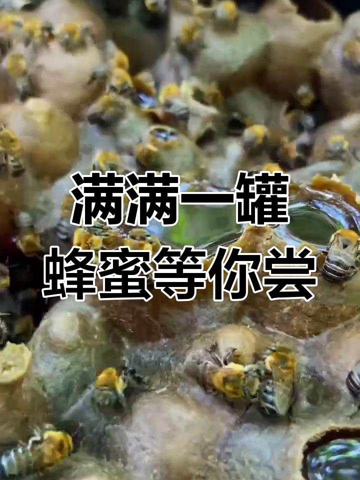 梦到很多蜂蜜和蜜蜂(梦见很多蜜蜂还有蜂蜜)