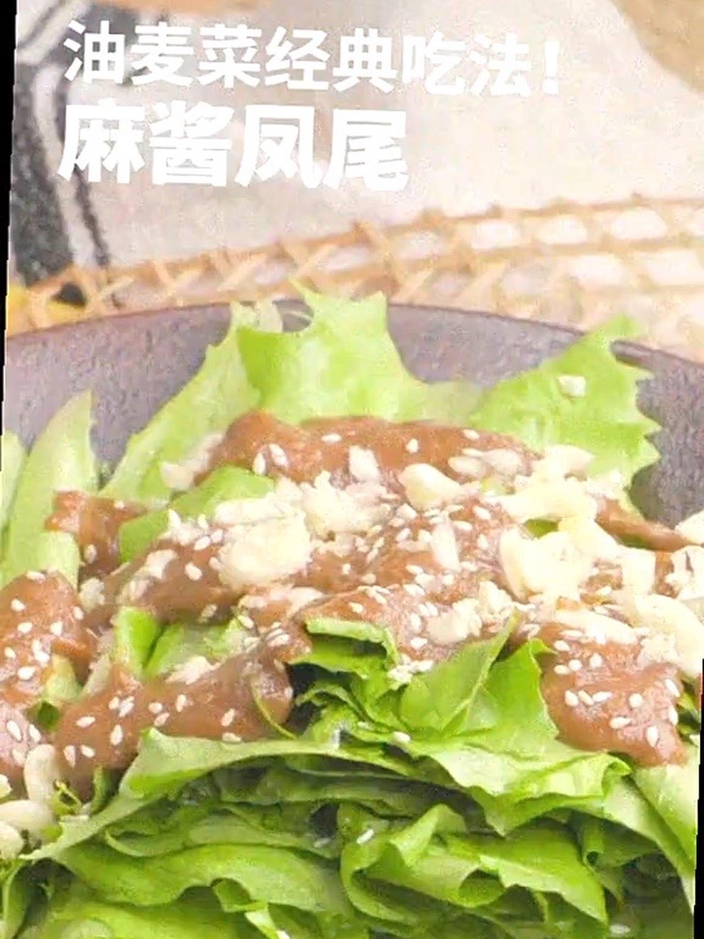 「爆款来袭」油麦菜新解麻酱凤尾一口鲜爽回味无穷