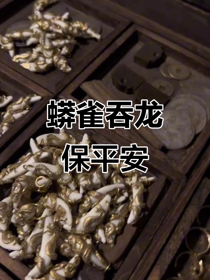 师兄,这枚蟒雀吞龙护你周全,下山必备!