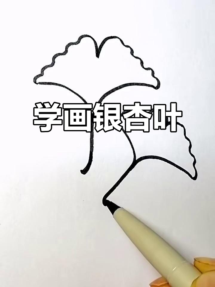 银杏叶简笔画,轻松学会画可爱小叶子