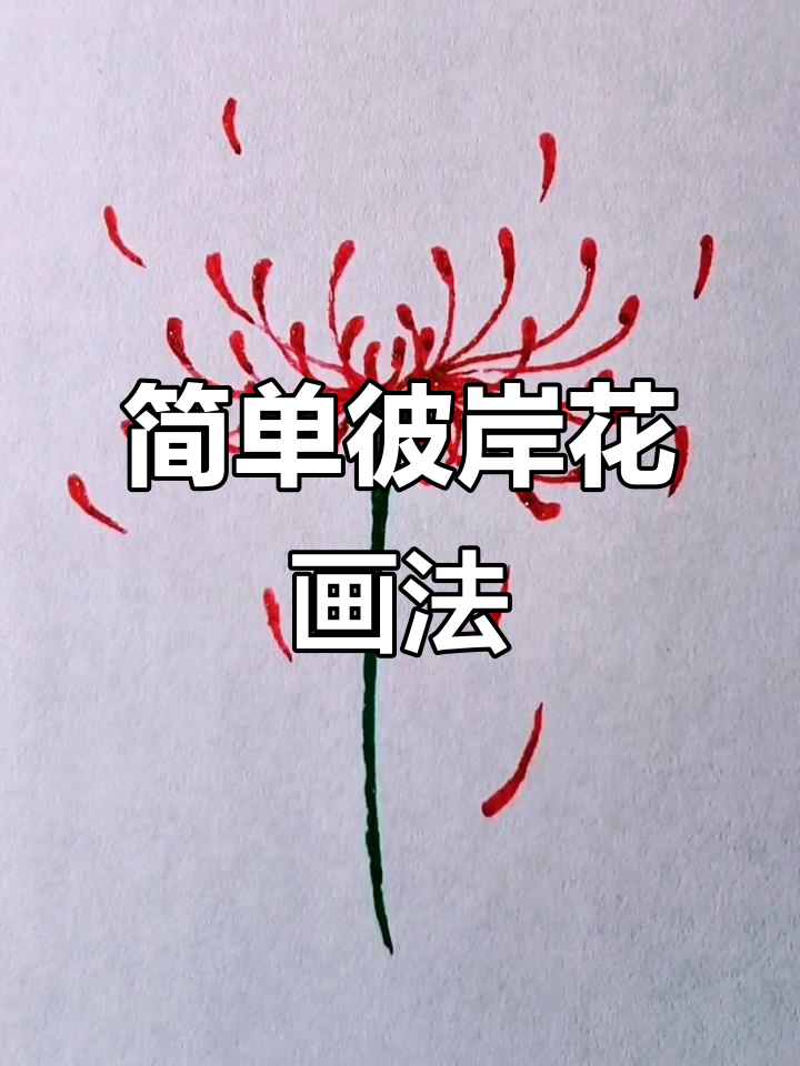 彼岸花简笔画教程,轻松学会!