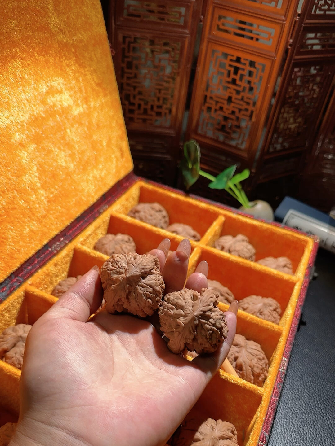 文玩核桃 无敌大龙鼎 筷子棱