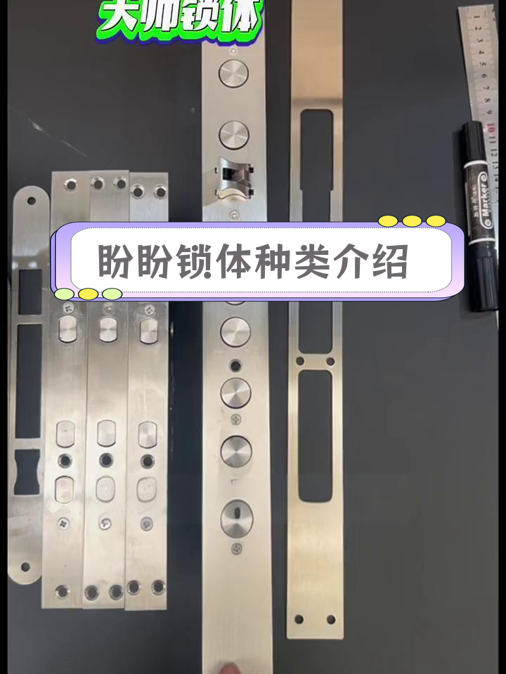 盼盼智能锁体全系列解析,多种规格适用不同需求