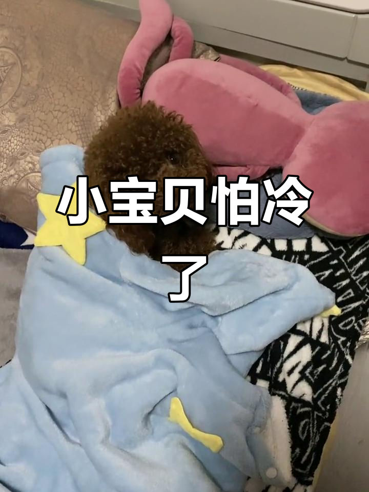 小宝贝冷得直打哆嗦,眼神里满是害怕