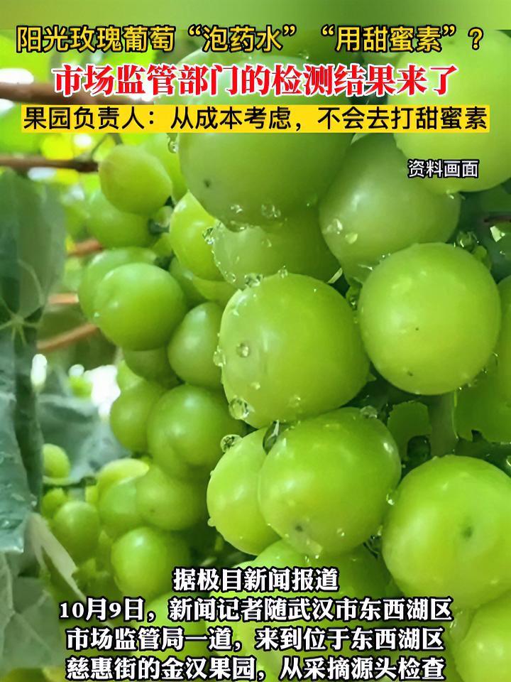 阳光玫瑰葡萄"泡药水""用甜蜜素"?