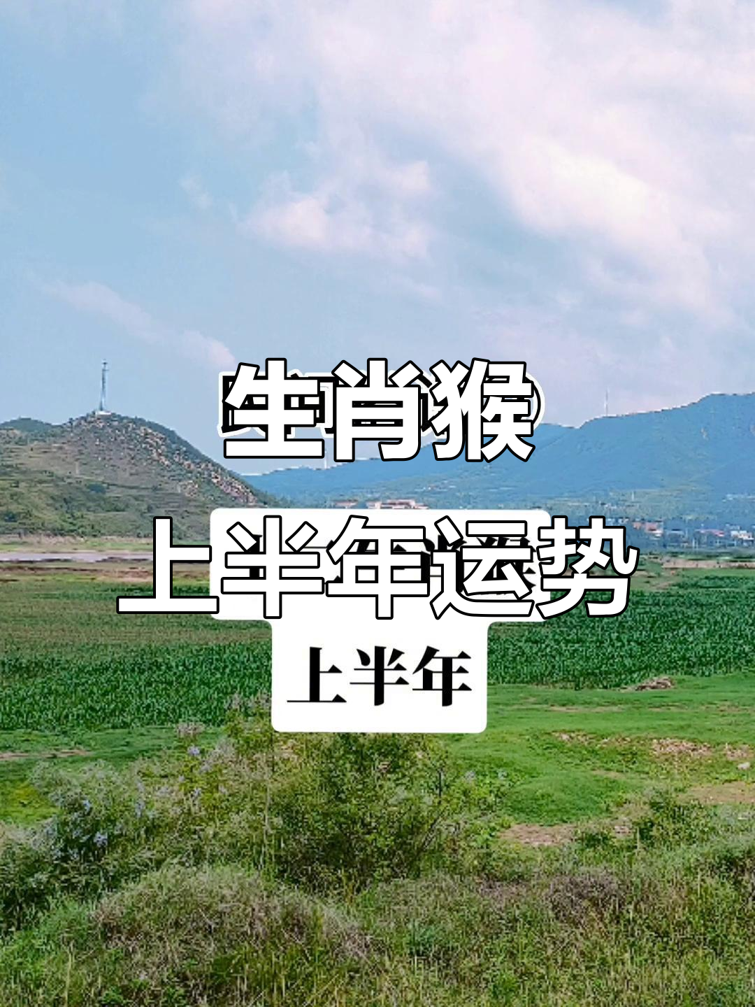 上半年财运生肖运势图(上半年的运势)