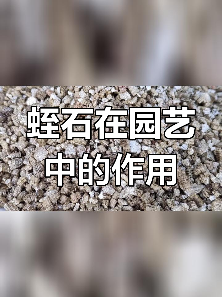 蛭石的作用与功效图片