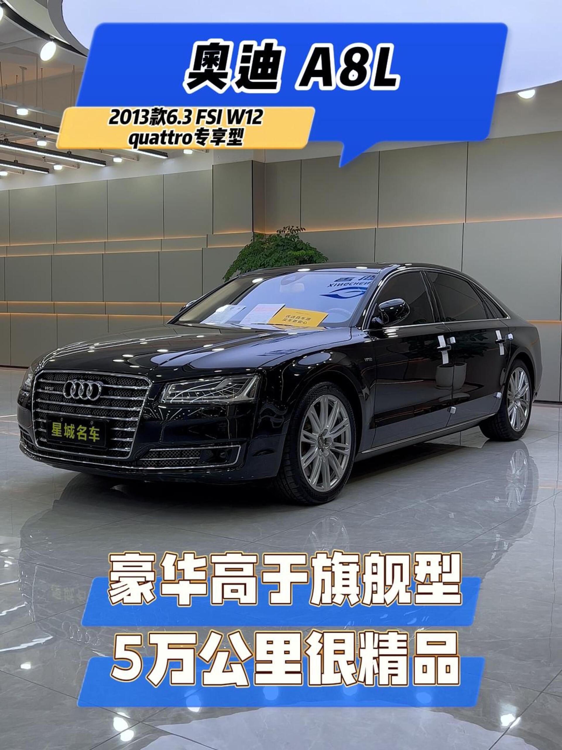 奥迪a8l 6.3 w12 quattro专享型