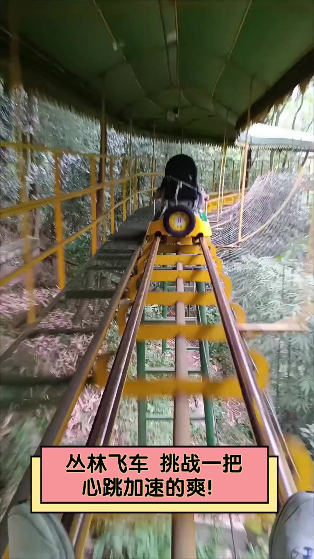 丛林飞车,挑战一把,心跳加速的爽!