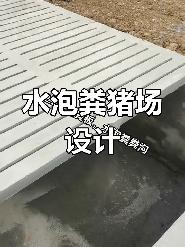 水泡粪猪舍怎样设计图片