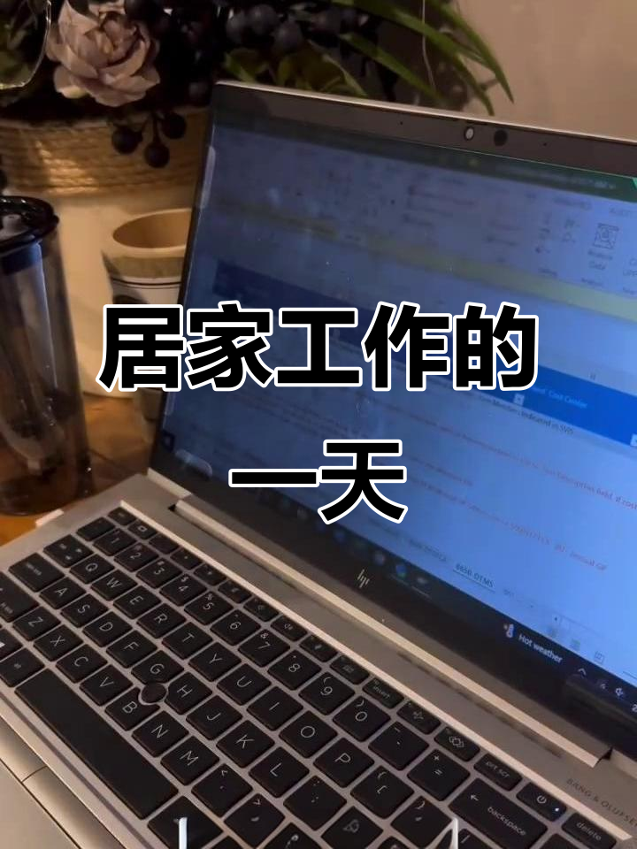 在家办公的轻松时光,德勤的工作日常