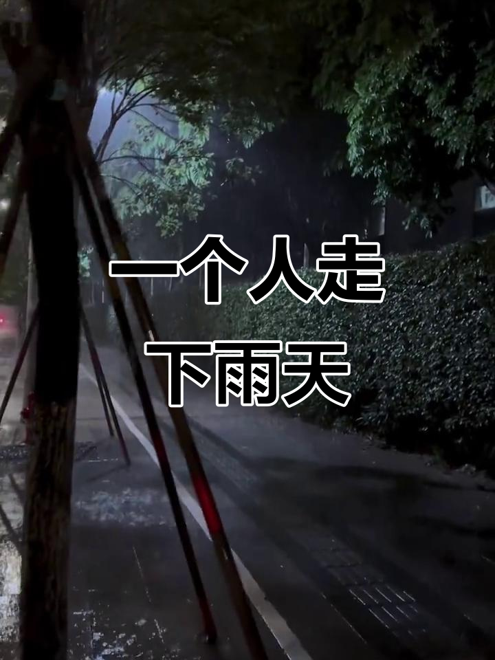 独自漫步在雨中,晚风轻拂过交叉路口