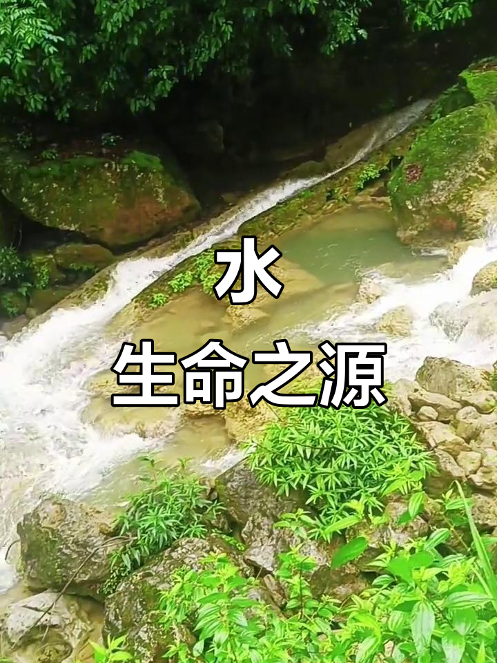 走进生命科学是水课吗,走进生命科学是水课吗还是旱课 走进生命科学是水课吗,走进生命科学是水课吗还是旱课
