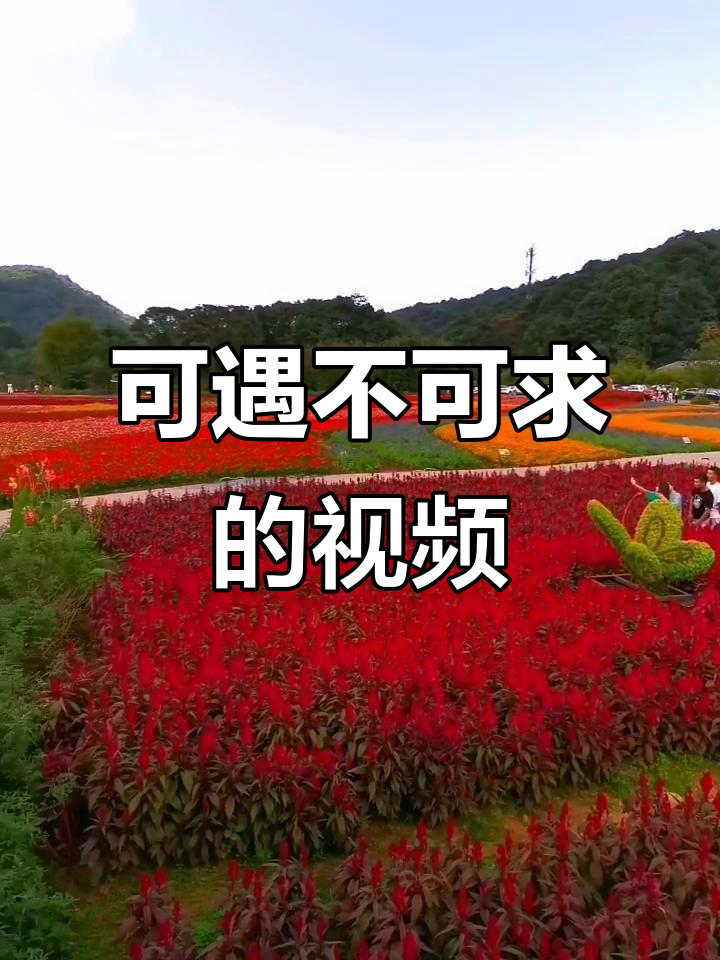 精彩视频:可遇不可求的美丽瞬间