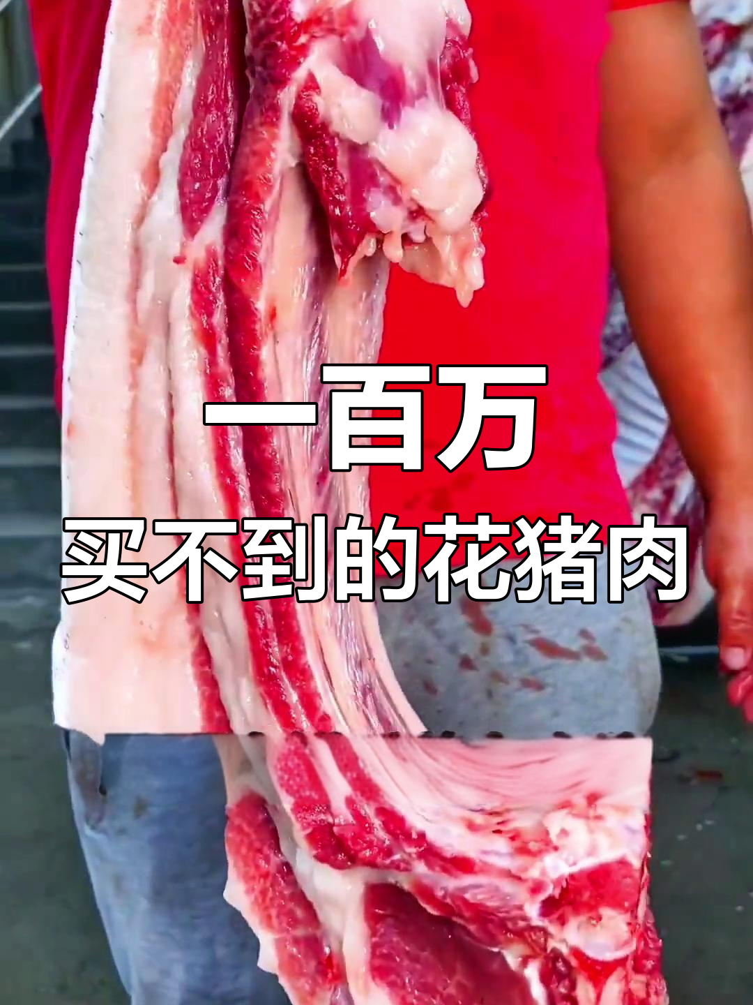 皖南山区散养花猪,一年才能出栏