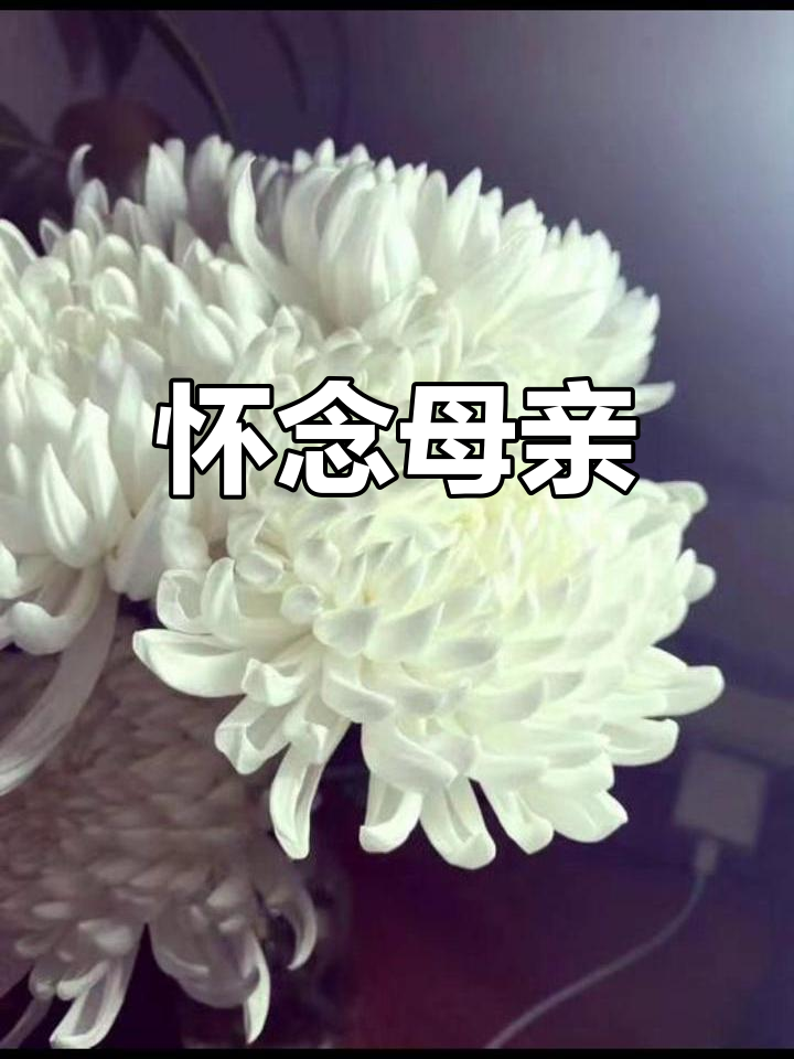 妈妈,三周年祭日,感恩您的养育之恩,愿您安好