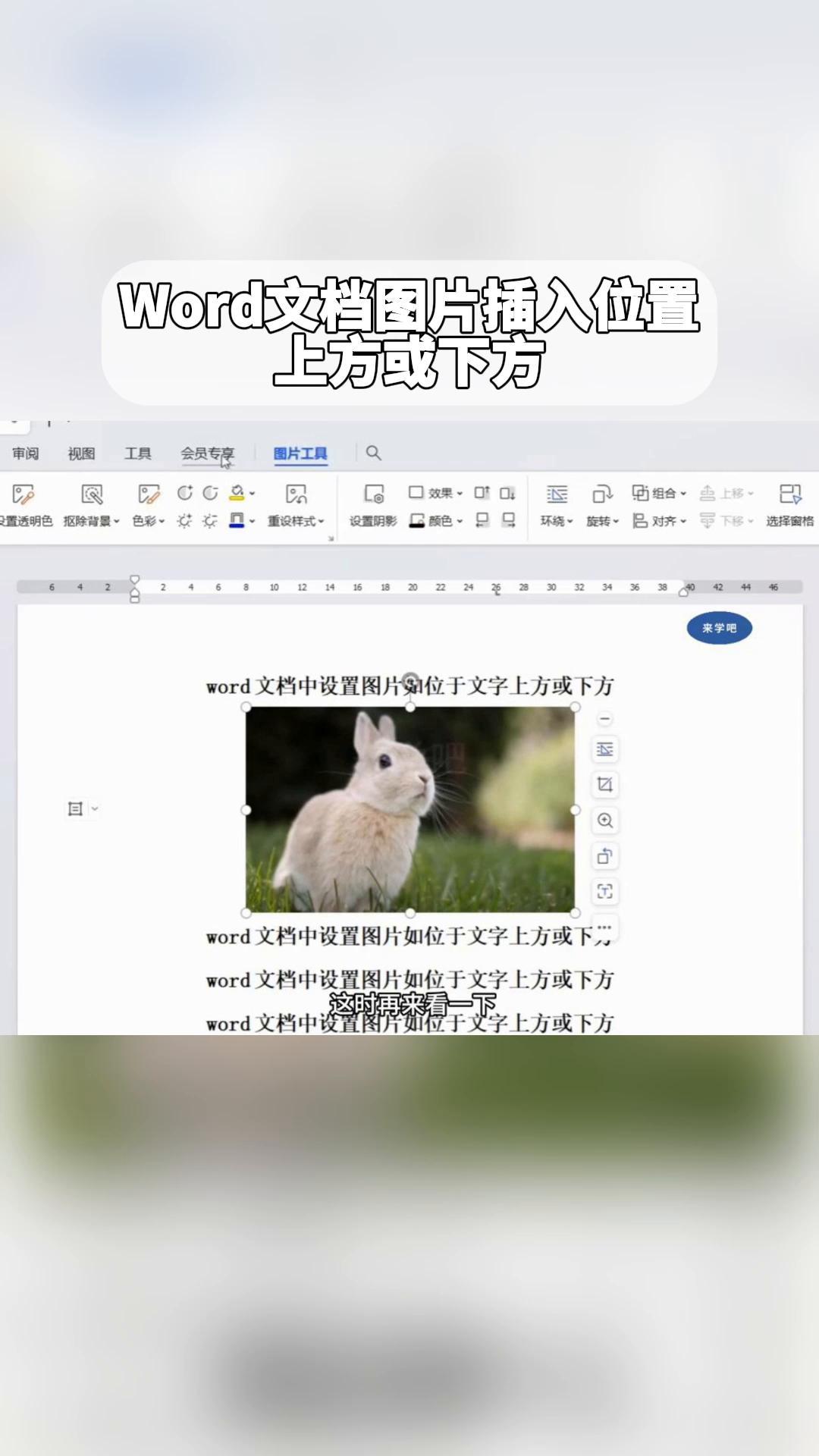 word文档图片插入位置,上方或下方