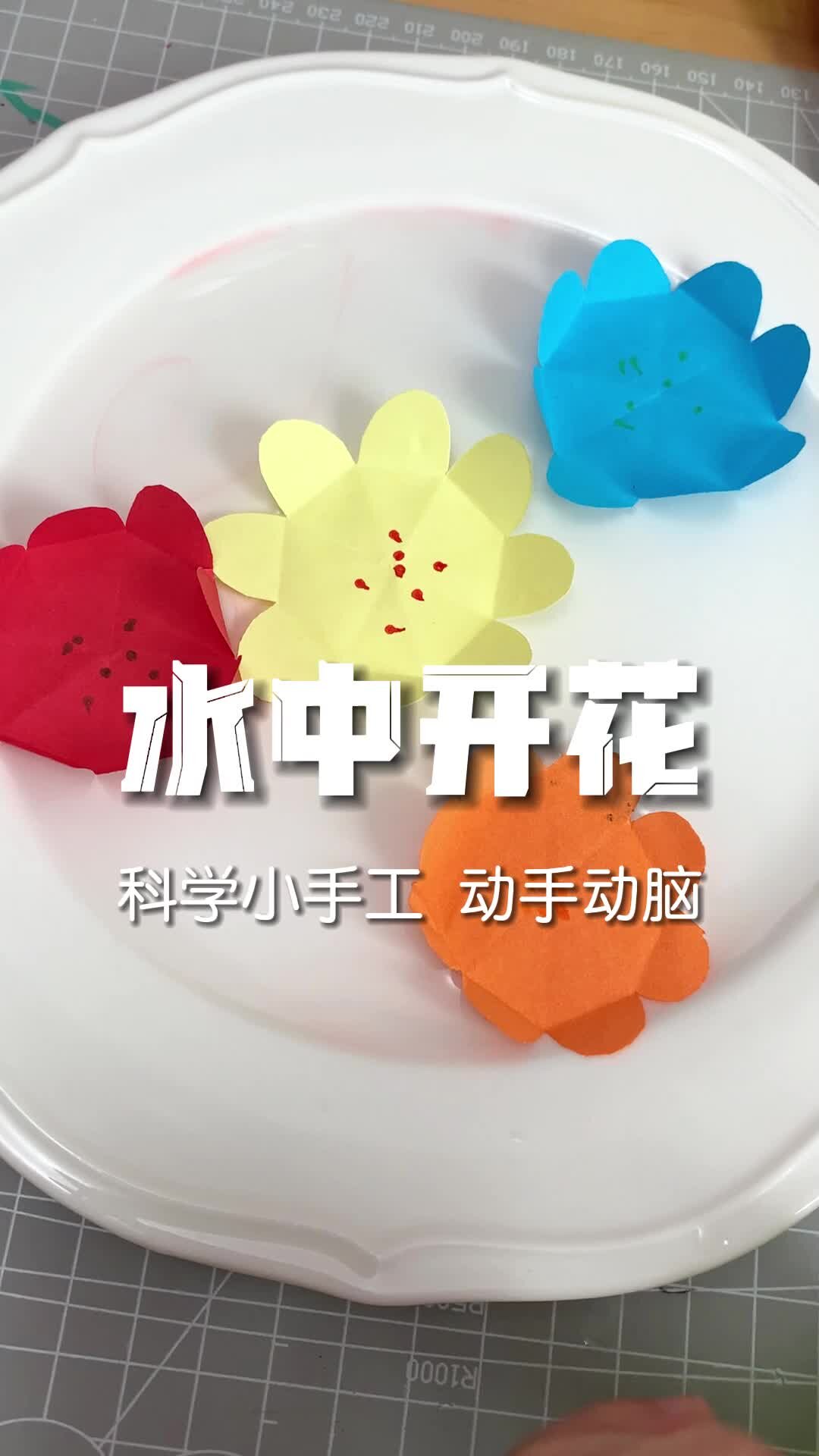 笔吸纸的实验过程图片