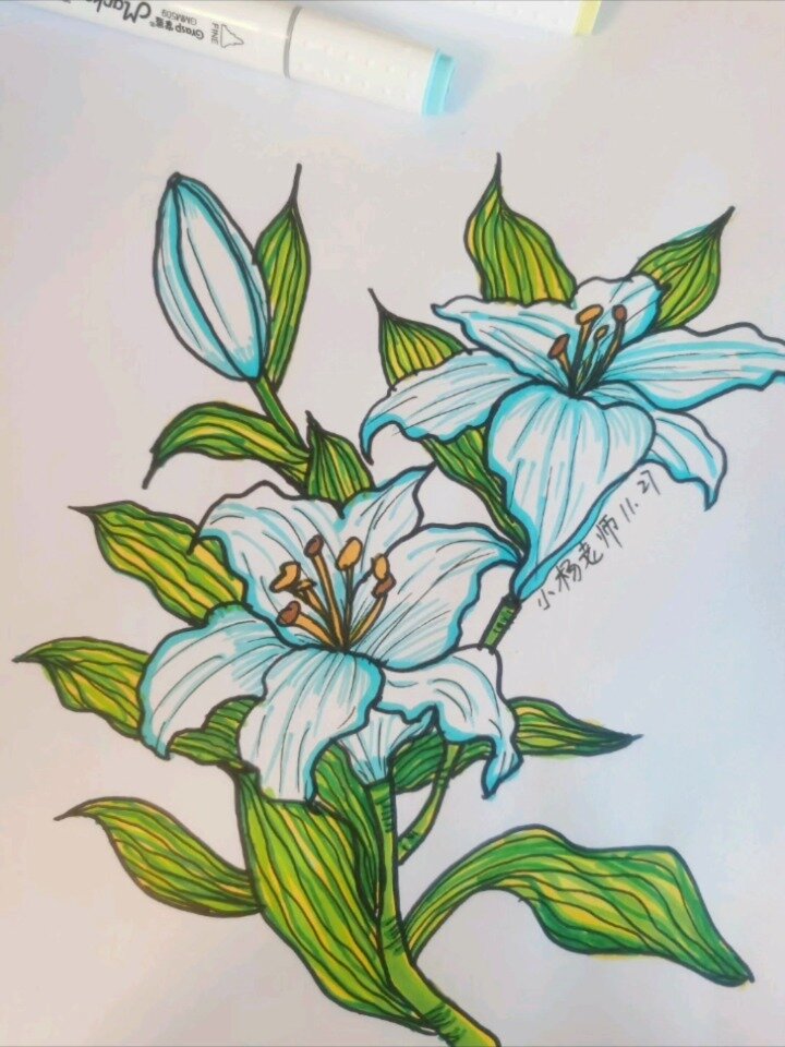 三年级上册美术《美丽的花》教师示范-度小视