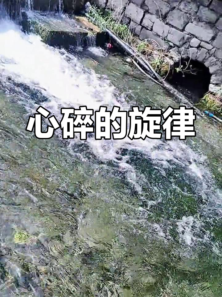 当往事成殇,当往事已成风歌词 当往事成殇,当往事已成风歌词