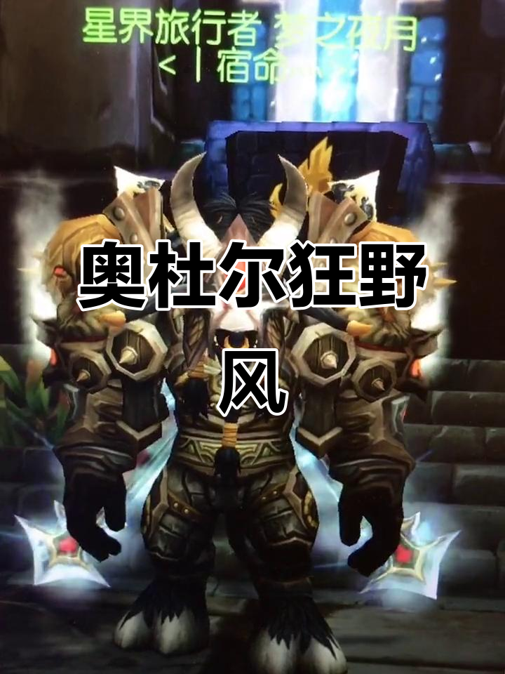 25人奥杜尔套装,狂野风格,鞋子腰带完美搭配!