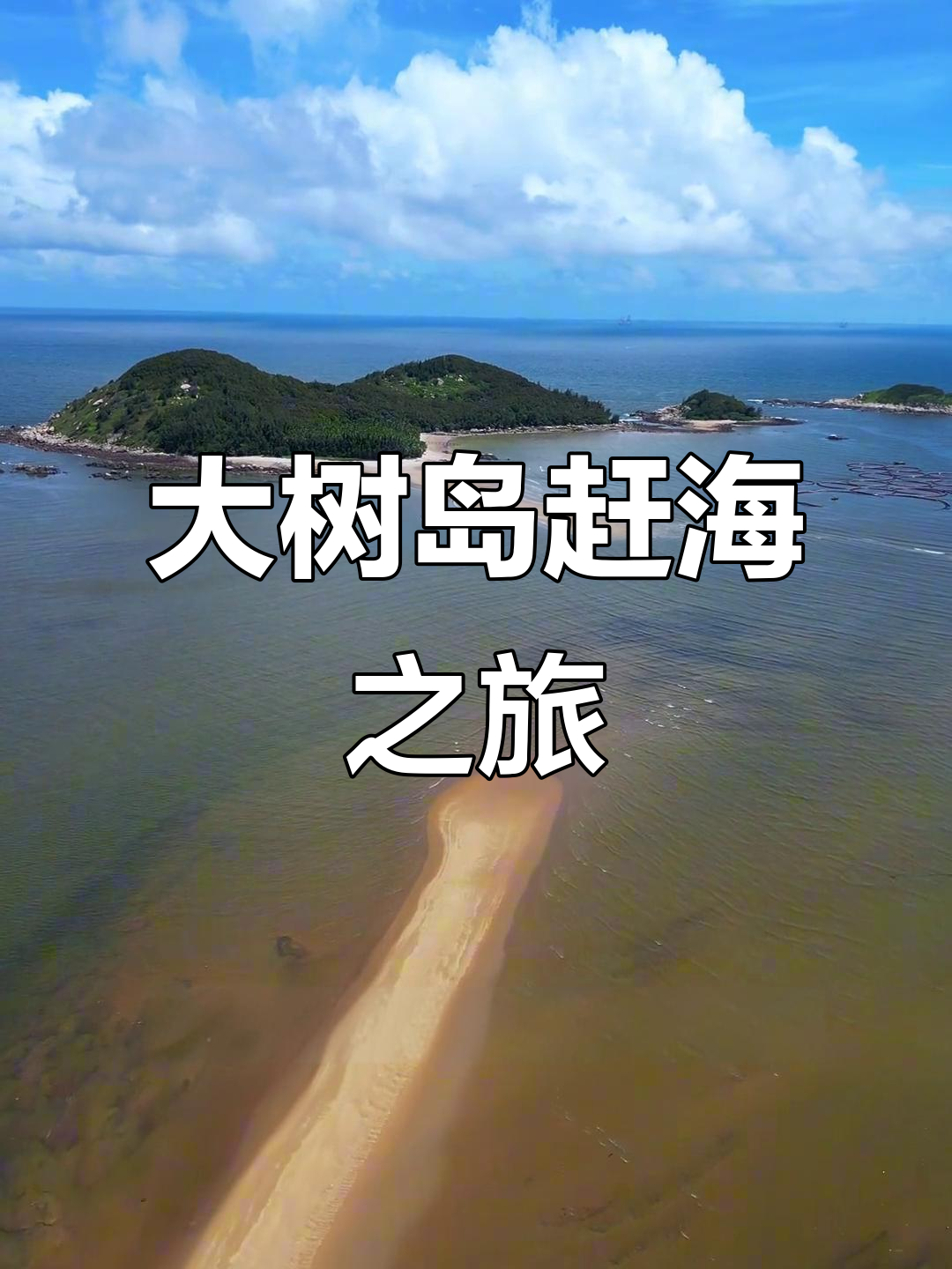 广东阳西大树岛:原生态海岛,赶海体验与海洋生物的邂逅