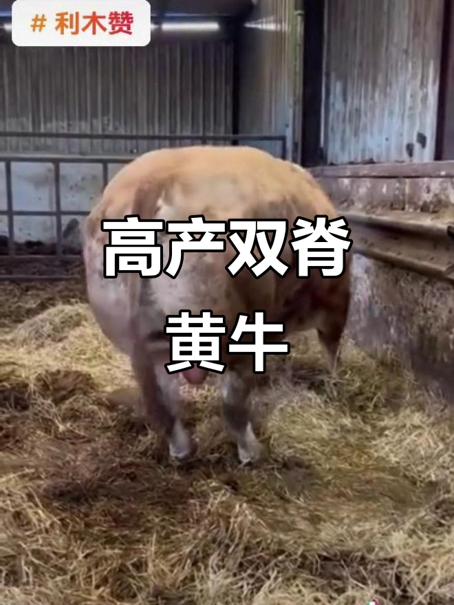 中日友好医院 中日友好医院