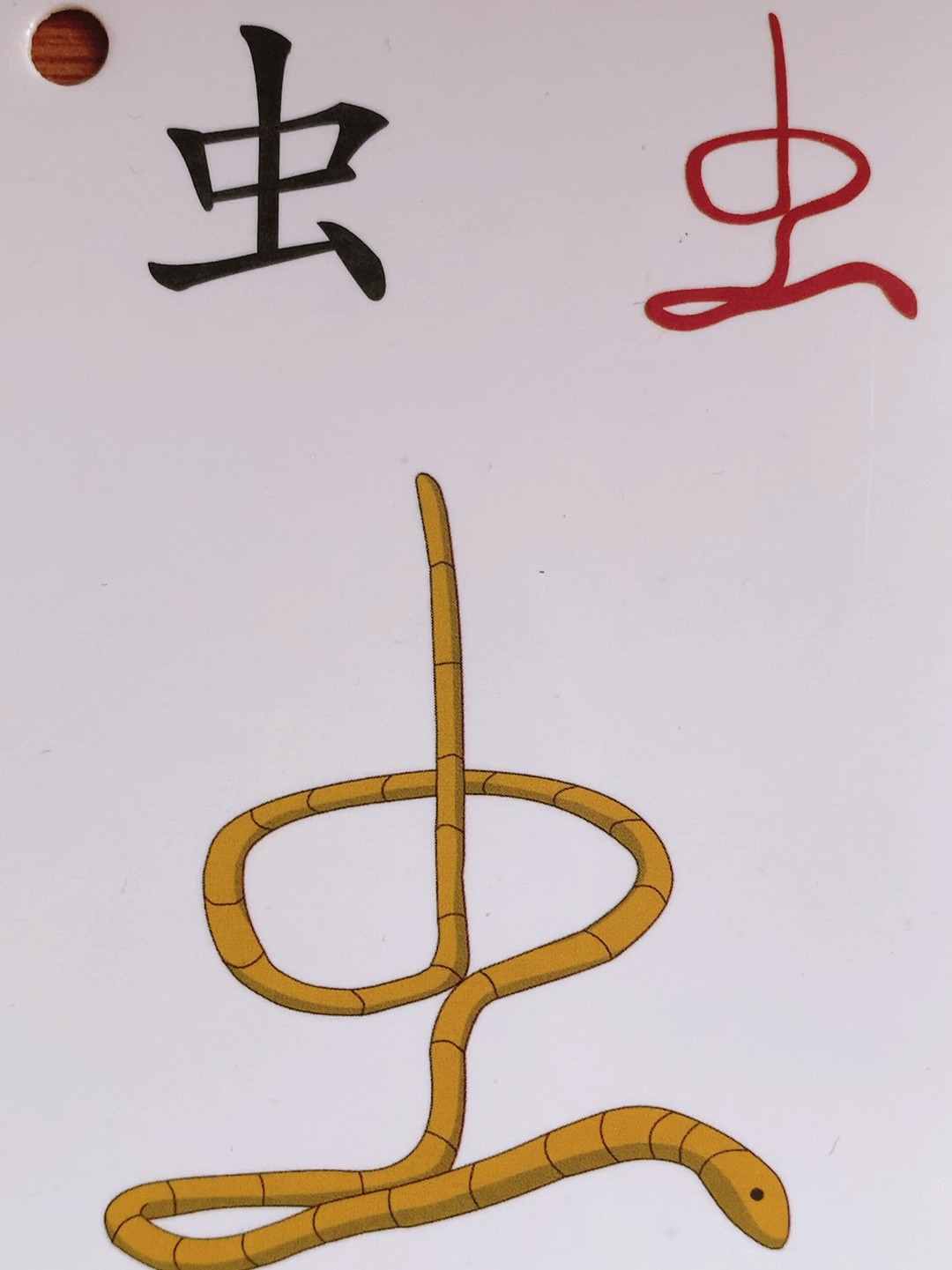 今天学习汉字虫