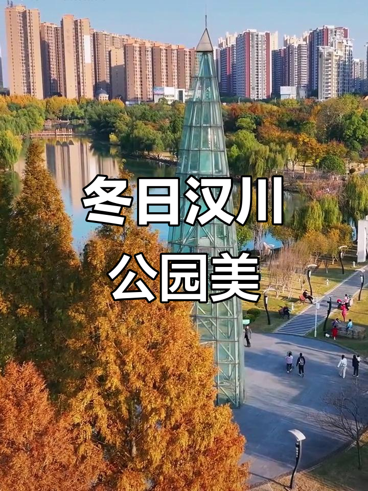 汉川公园冬季美景,随手一拍都是风景