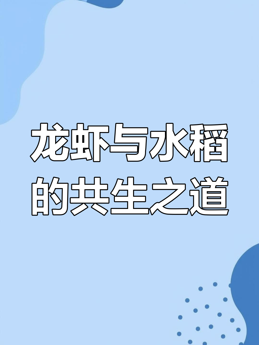 养龙虾技术和视频教程(养龙虾的基本知识视频讲解)