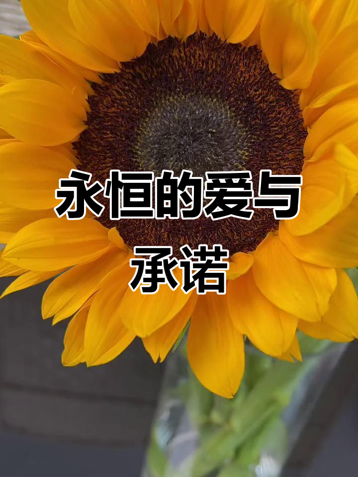 向日葵的花语:永远只属于你,爱与忠诚的誓言