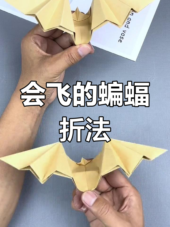 鲁班折纸蝙蝠飞机图片