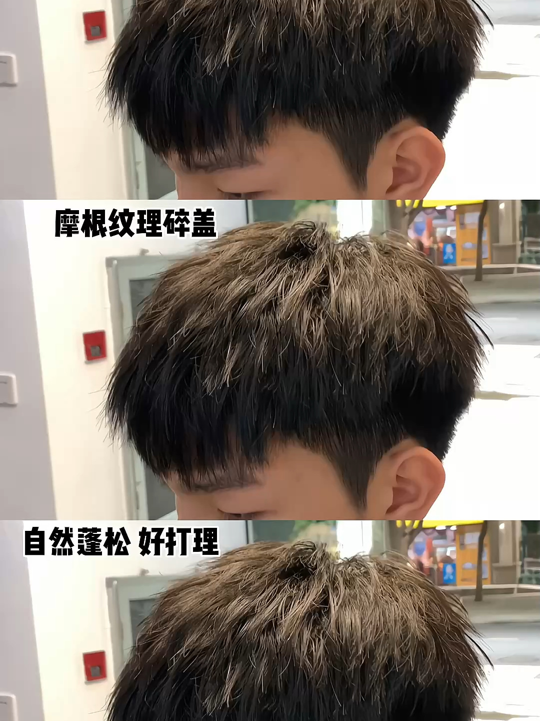 摩根纹理碎盖简单好打理 5.5cm即可