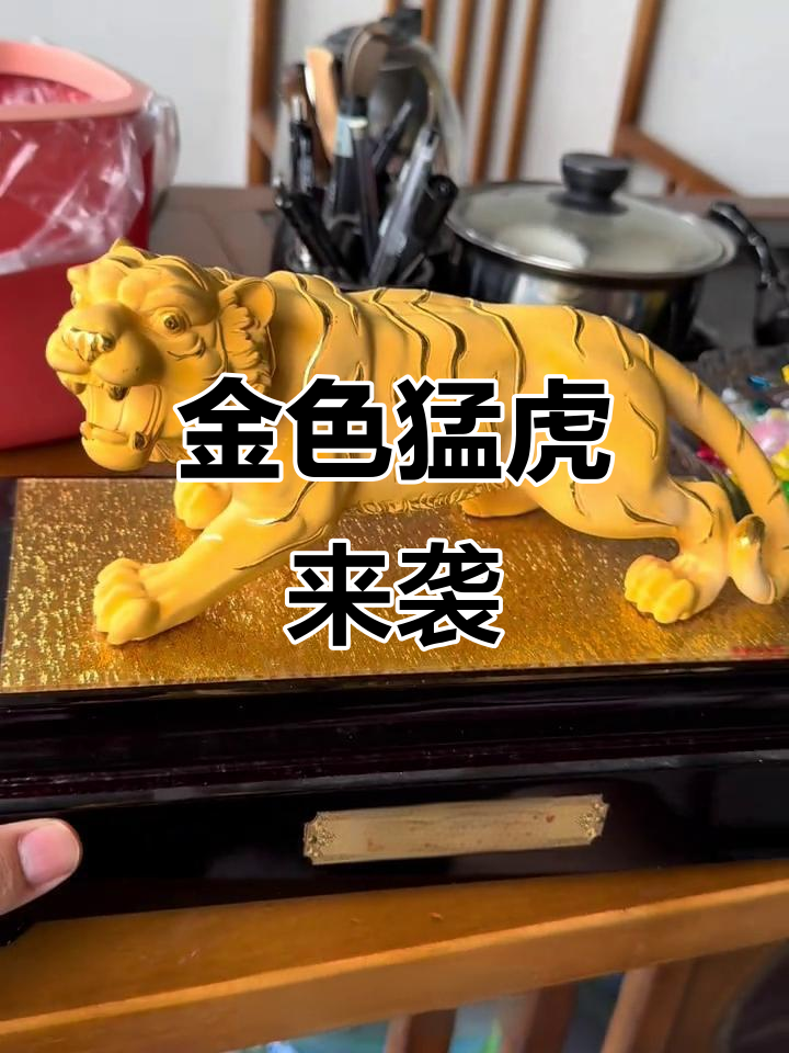 黄金老虎霸气登场,威武非凡