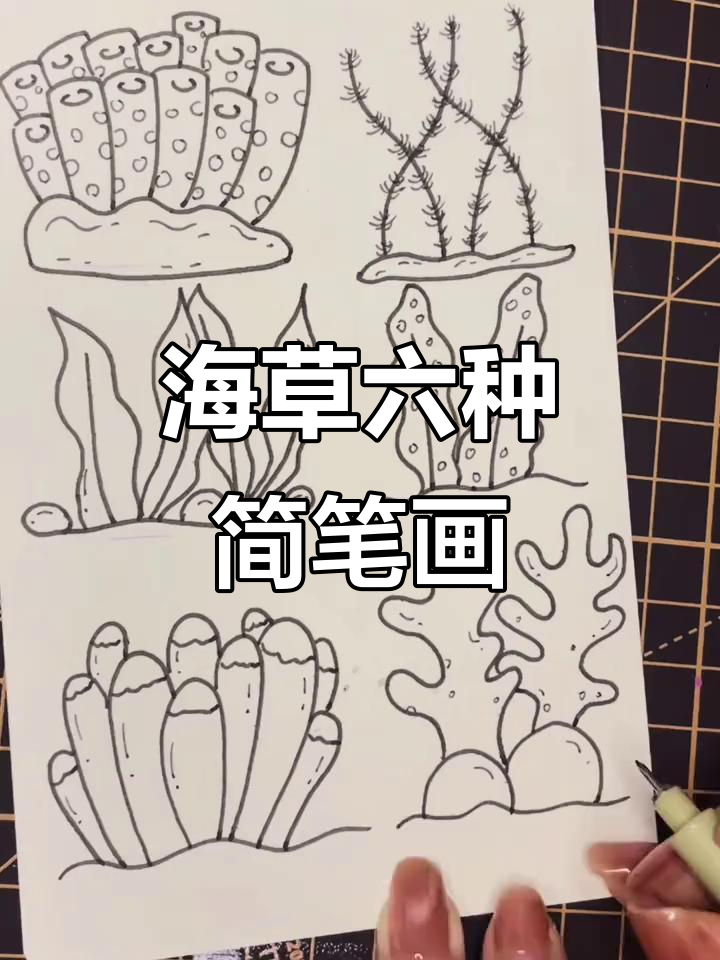 六种海草画法,轻松学会
