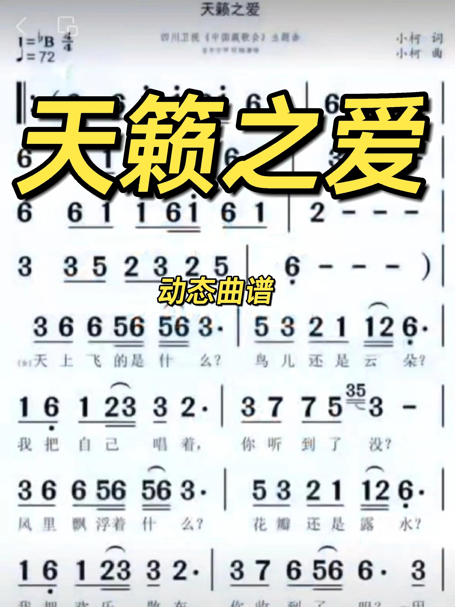 容中尔甲 旺姆《天籁之爱》动态曲谱 简谱