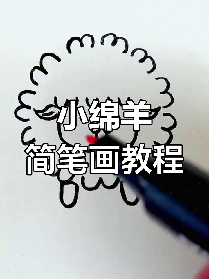 小绵羊简笔画教程图片