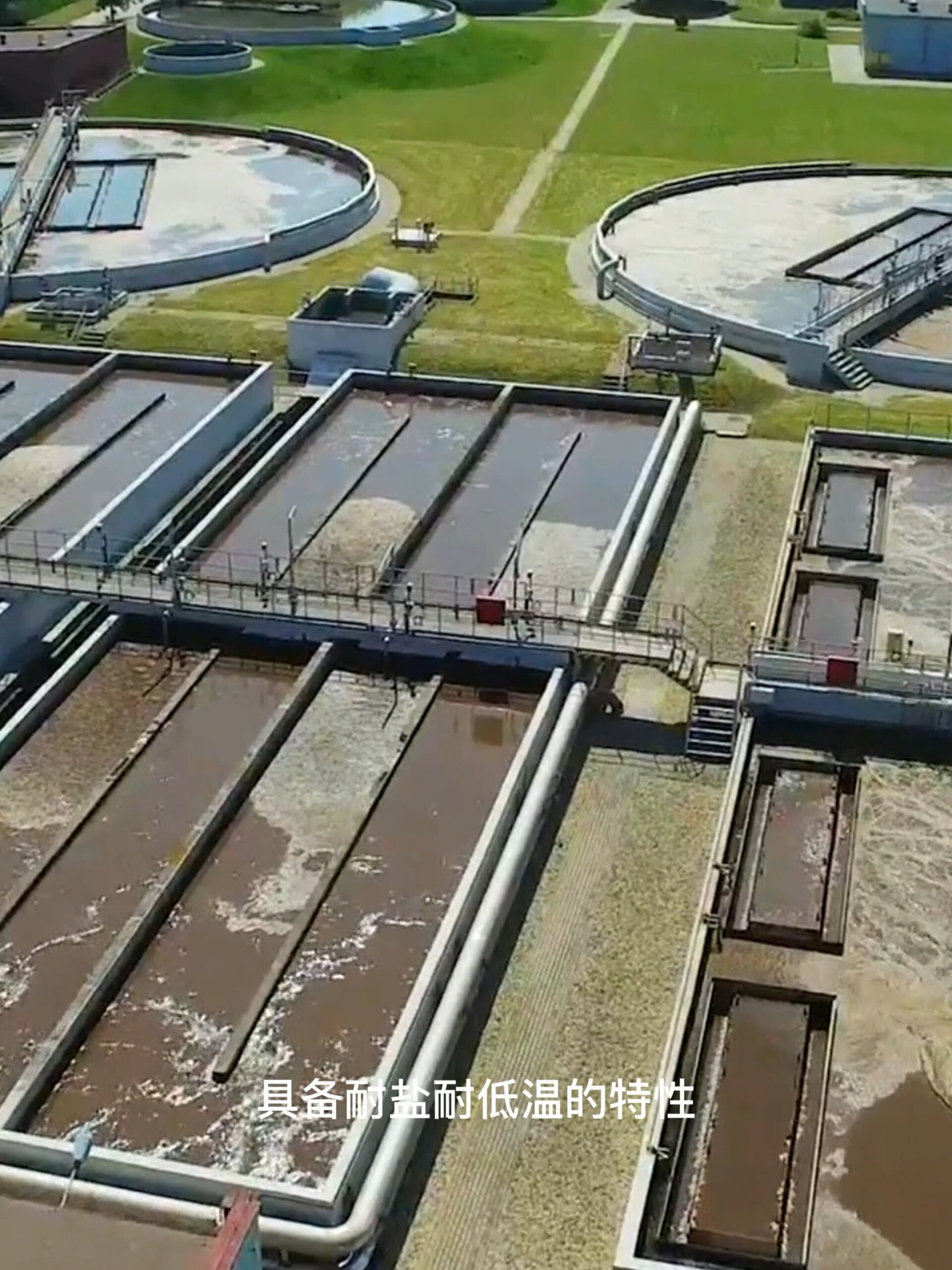 在污水处理过程中cod超标怎么处理?