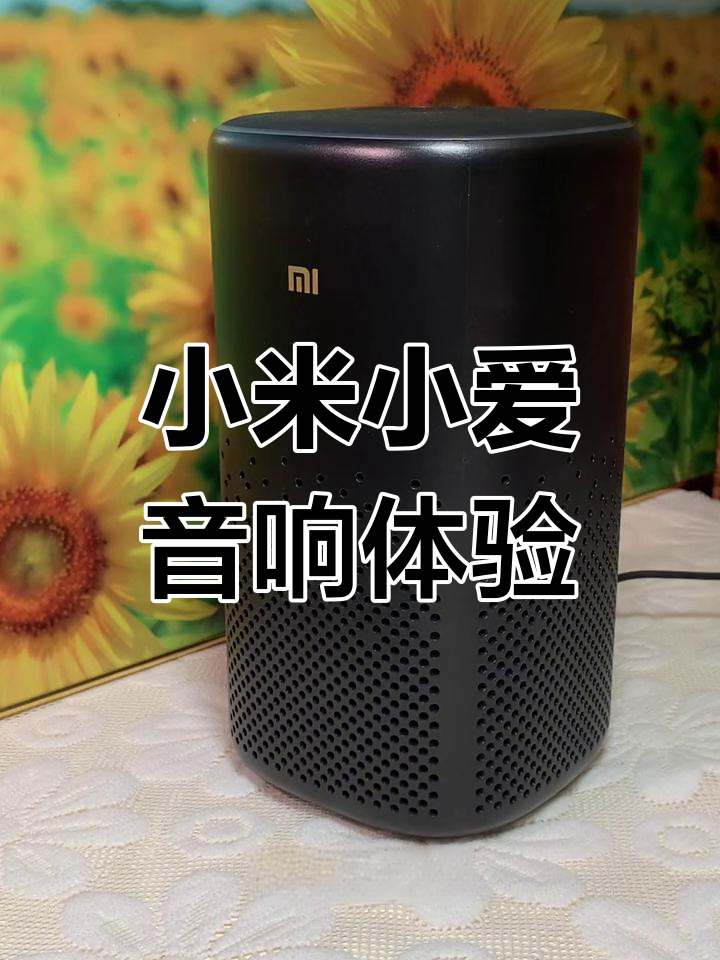 小爱同学智能音箱,计时,播歌样样行