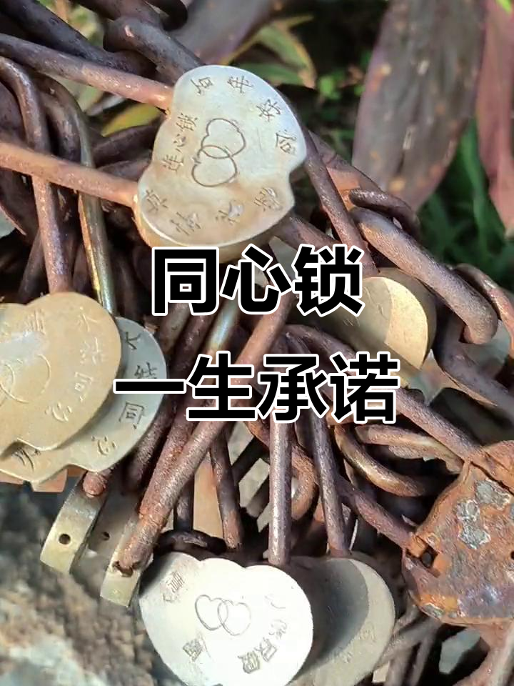 挂一把同心锁,守护永恒的爱情誓言