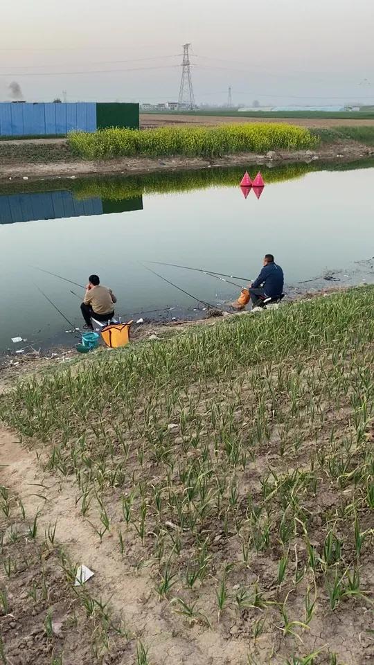 好钓点都在乡村 免费野钓