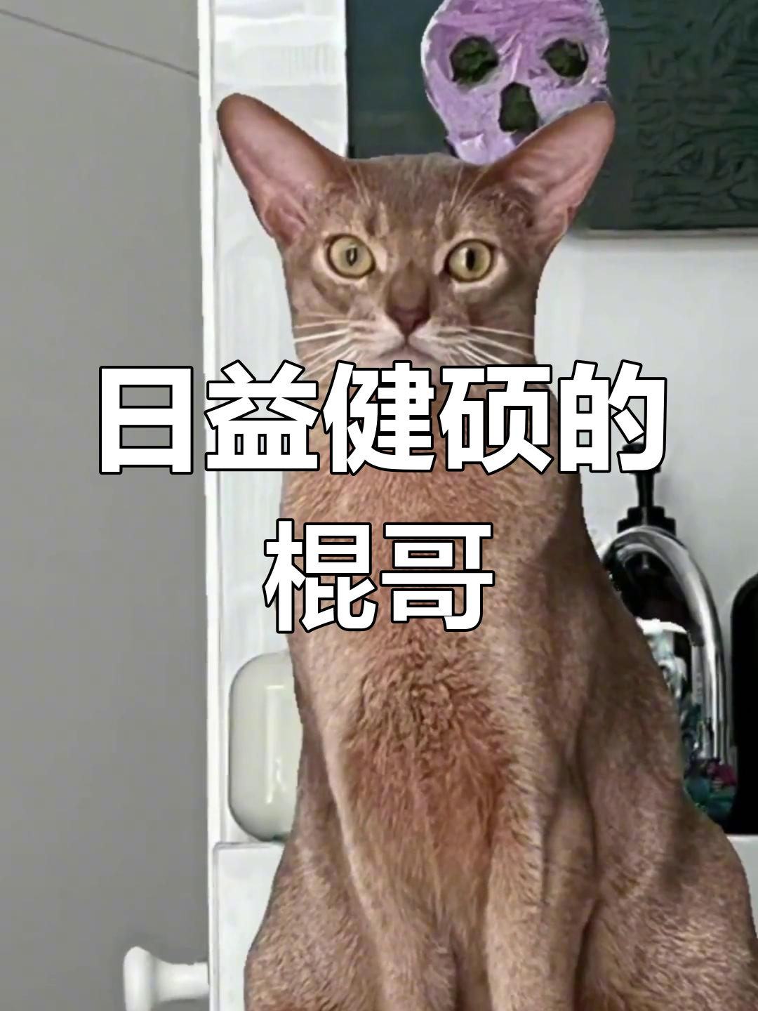 棍哥身材大变样