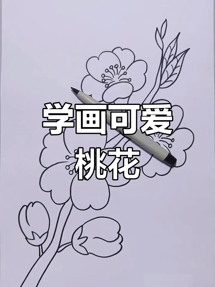 简单步骤教你画桃花,轻松上手!