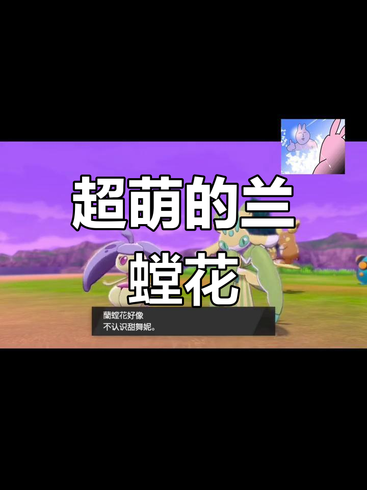 兰螳花,可爱的宝可梦