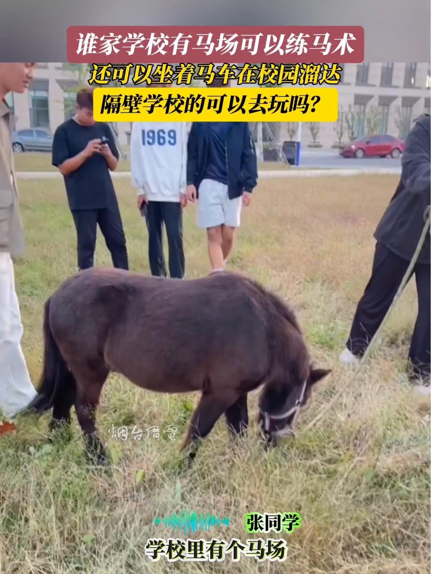 10月13日(采访时间),山东烟台.