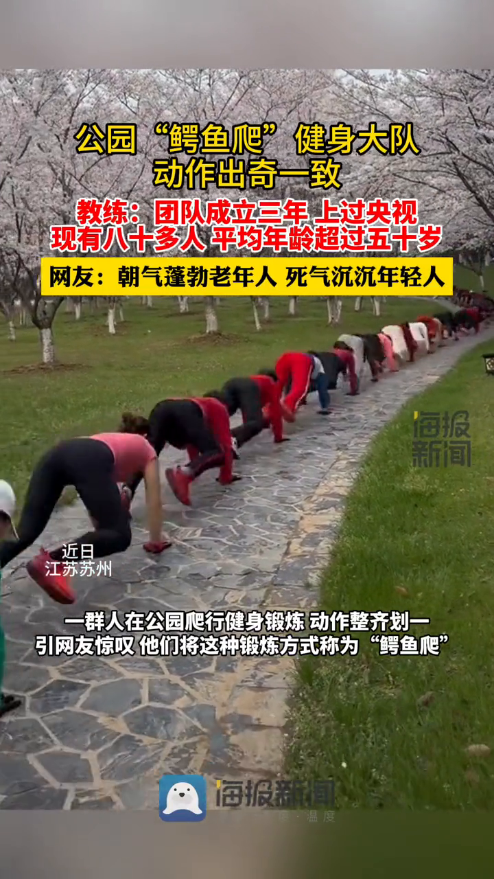 公园"鳄鱼爬"健身大队 动作出奇一致 惊呆网友-度小视