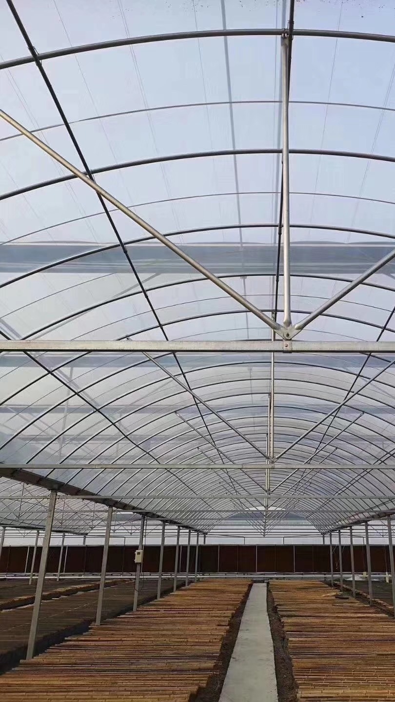 连栋薄膜温室大棚骨架结构